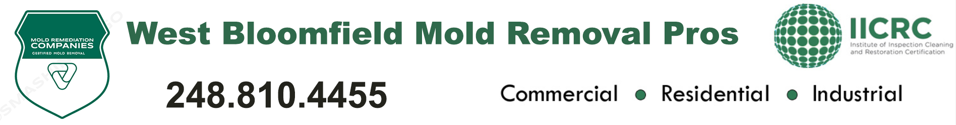 West Bloomfield Mold Removal Pros
