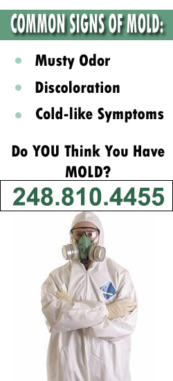 West Bloomfield Mold Remediation Contractor